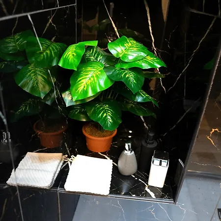 Bohemian Pigneto Rhome - 2 Bdr 2 Bath Family Friendly Comfort & Elegance - Colosseum At 4 Metro Stops - Secure & Vibrant Area, Pigneto Metro & Historic Car Free Island At 10 Min Walk - Easy Access To Termini, La Sapienza, Policlinico Umberto I Apartment *